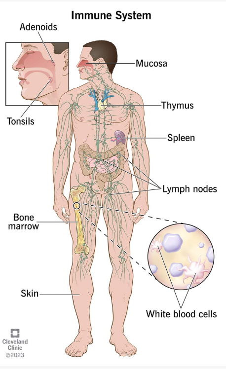 Screenshot 2025-11-14 124934